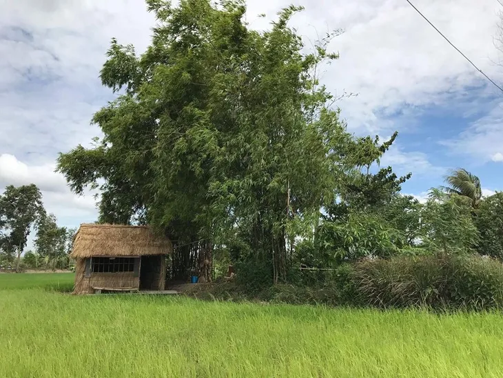 Bố ơi! Mình đi đâu thế? mùa 4 tiết lộ những hình ảnh đầu tiên - Ảnh 3. Bố ơi! Mình đi đâu thế? mùa 4 tiết lộ những hình ảnh đầu tiên - Ảnh 3.