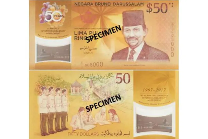 Brunei, Singapore ra mắt tờ tiền chung - Ảnh 2. Brunei, Singapore ra mắt tờ tiền chung - Ảnh 2.