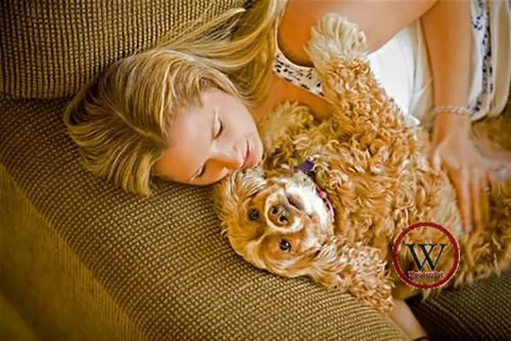 9 lợi ích sức khỏe không ngờ khi nuôi chó - Ảnh 3. 9 lợi ích sức khỏe không ngờ khi nuôi chó - Ảnh 3.