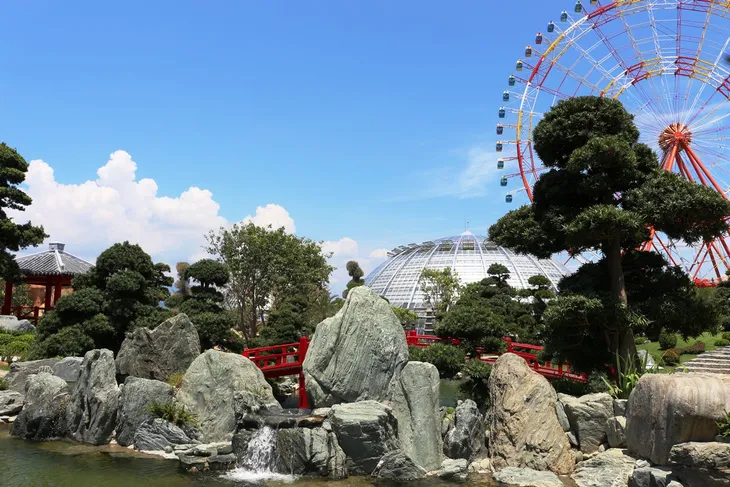 Vinpearl Land mở cửa công viên thực vật 5 châu độc đáo nhất Việt Nam - Ảnh 4. Vinpearl Land mở cửa công viên thực vật 5 châu độc đáo nhất Việt Nam - Ảnh 4.