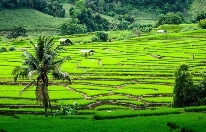 12 thành phố châu Á mọi người nên đến ít nhất một lần trong đời - Ảnh 4. 12 thành phố châu Á mọi người nên đến ít nhất một lần trong đời - Ảnh 4.