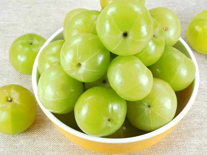 Công thức cho mái tóc chắc khỏe từ lá ổi - Ảnh 5. Công thức cho mái tóc chắc khỏe từ lá ổi - Ảnh 5.