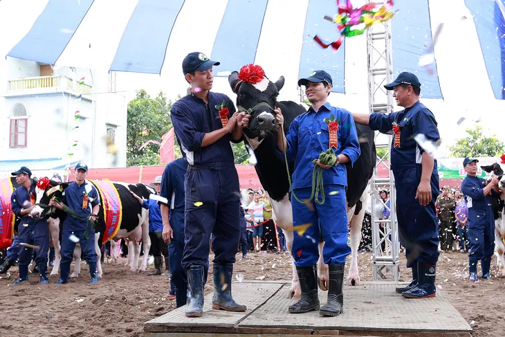 Hoa hậu Bò sữa Mộc Châu 2017: Lễ hội tôn vinh nghề nghiệp độc đáo trên Thảo nguyên xanh - Ảnh 1. Hoa hậu Bò sữa Mộc Châu 2017: Lễ hội tôn vinh nghề nghiệp độc đáo trên Thảo nguyên xanh - Ảnh 1.