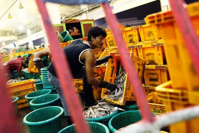 ASEAN và giải pháp căn cơ nào để quản lý lao động nhập cư? - Ảnh 2. ASEAN và giải pháp căn cơ nào để quản lý lao động nhập cư? - Ảnh 2.