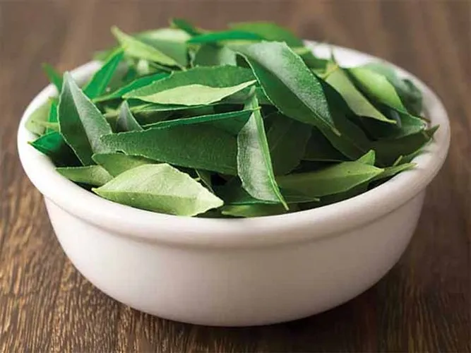 Công thức cho mái tóc chắc khỏe từ lá ổi - Ảnh 8. Công thức cho mái tóc chắc khỏe từ lá ổi - Ảnh 8.