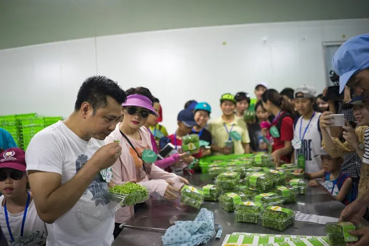 Tạm gác căng thẳng trong Sống chung với mẹ chồng, Bảo Thanh rủ Tự Long đi trồng rau sạch - Ảnh 3. Tạm gác căng thẳng trong Sống chung với mẹ chồng, Bảo Thanh rủ Tự Long đi trồng rau sạch - Ảnh 3.