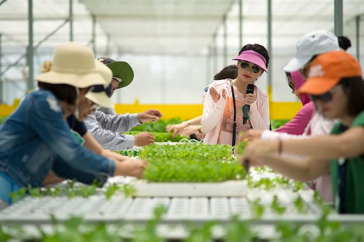 Tạm gác căng thẳng trong Sống chung với mẹ chồng, Bảo Thanh rủ Tự Long đi trồng rau sạch - Ảnh 6. Tạm gác căng thẳng trong Sống chung với mẹ chồng, Bảo Thanh rủ Tự Long đi trồng rau sạch - Ảnh 6.