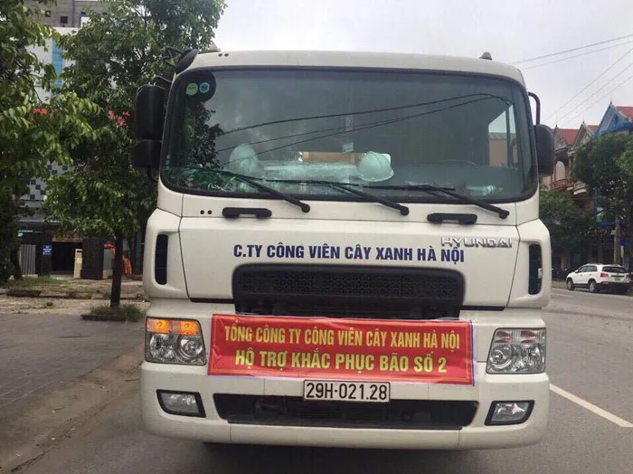 Hà Nội hỗ trợ TP Vinh khắc phục cây đổ sau bão số 2 - Ảnh 3. Hà Nội hỗ trợ TP Vinh khắc phục cây đổ sau bão số 2 - Ảnh 3.