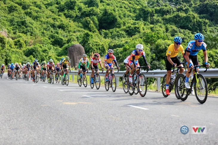ẢNH: Những khoảnh khắc ấn tượng chặng 11 Giải xe đạp quốc tế VTV Cúp Tôn Hoa Sen 2017 - Ảnh 11. ẢNH: Những khoảnh khắc ấn tượng chặng 11 Giải xe đạp quốc tế VTV Cúp Tôn Hoa Sen 2017 - Ảnh 11.