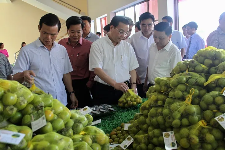 Công bố chỉ dẫn địa lý Hồng không hạt Quản Bạ - Ảnh 1. Công bố chỉ dẫn địa lý Hồng không hạt Quản Bạ - Ảnh 1.