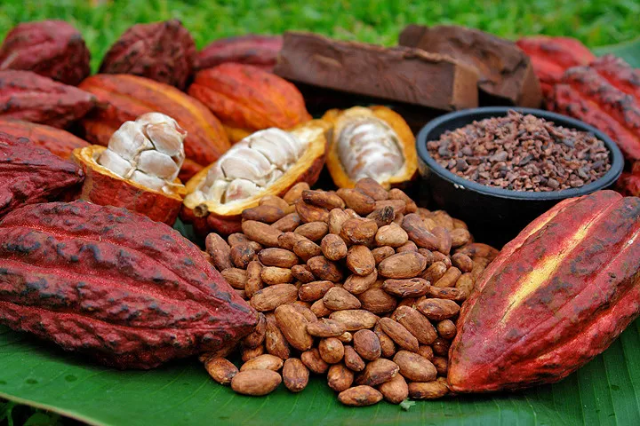 Những siêu thực phẩm giúp phụ nữ trẻ mãi không già - Ảnh 13. Những siêu thực phẩm giúp phụ nữ trẻ mãi không già - Ảnh 13.