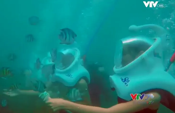 VTVTrip: Con đường dưới biển huyền diệu ở đảo Cù Lao Chàm - Ảnh 1. VTVTrip: Con đường dưới biển huyền diệu ở đảo Cù Lao Chàm - Ảnh 1.