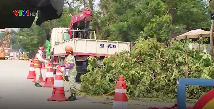 Chưa thể di chuyển cây xanh tại đường Kim Mã - Ảnh 1. Chưa thể di chuyển cây xanh tại đường Kim Mã - Ảnh 1.