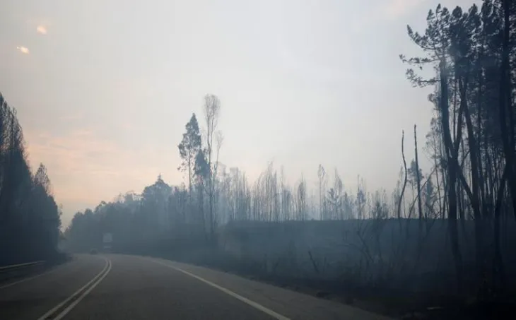 Cháy rừng ở Bồ Đào Nha: Số người thương vong đã lên tới hơn 100 - Ảnh 8. Cháy rừng ở Bồ Đào Nha: Số người thương vong đã lên tới hơn 100 - Ảnh 8.