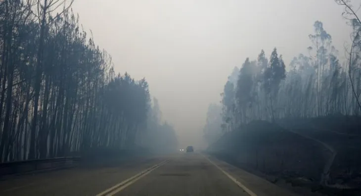 Cháy rừng ở Bồ Đào Nha: Số người thương vong đã lên tới hơn 100 - Ảnh 7. Cháy rừng ở Bồ Đào Nha: Số người thương vong đã lên tới hơn 100 - Ảnh 7.