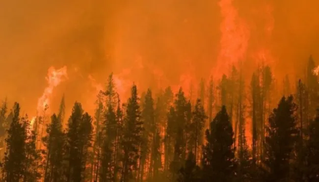 Cháy rừng tại California (Mỹ) có thể gây ra những thiệt hại không thể lường trước - Ảnh 1. Cháy rừng tại California (Mỹ) có thể gây ra những thiệt hại không thể lường trước - Ảnh 1.