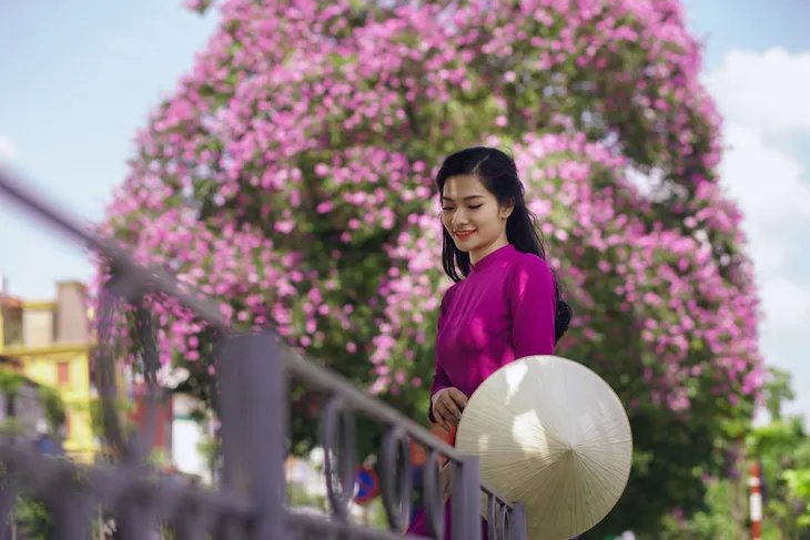 Hoa bằng lăng tím nở rợp trời Hà Nội - Ảnh 14.