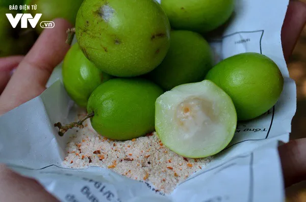 Giới trẻ Hà Nội thích thú ghé thăm vườn táo ăn chán thì thôi - Ảnh 2. Giới trẻ Hà Nội thích thú ghé thăm vườn táo ăn chán thì thôi - Ảnh 2.