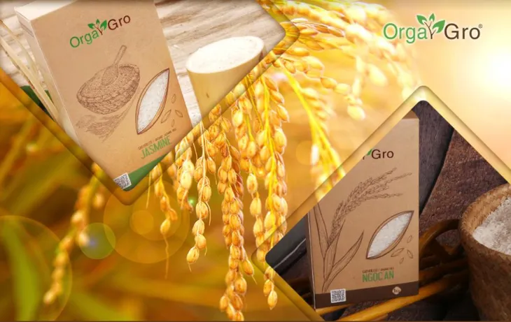 Gạo Việt trên đồng Vĩnh Hưng - Ảnh 1. Gạo Việt trên đồng Vĩnh Hưng - Ảnh 1.