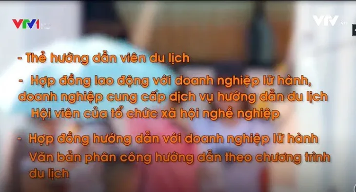 Băn khoăn trước quy định mới về hướng dẫn viên du lịch - Ảnh 1. Băn khoăn trước quy định mới về hướng dẫn viên du lịch - Ảnh 1.