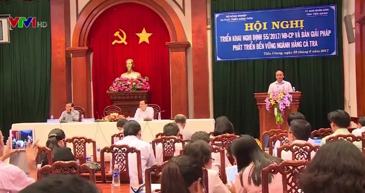Xuất khẩu cá tra tăng trưởng mạnh nhưng vẫn gặp nhiều bất lợi - Ảnh 1. Xuất khẩu cá tra tăng trưởng mạnh nhưng vẫn gặp nhiều bất lợi - Ảnh 1.