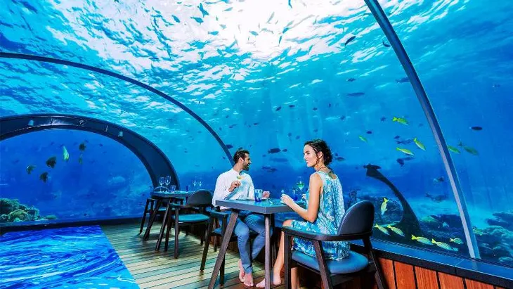 Khám phá nhà hàng dưới nước lớn nhất thế giới - Ảnh 5. Khám phá nhà hàng dưới nước lớn nhất thế giới - Ảnh 5.