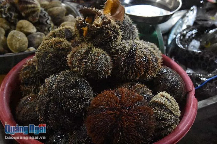 Sôi động chợ đêm hải sản ở đảo Lý Sơn - Ảnh 2. Sôi động chợ đêm hải sản ở đảo Lý Sơn - Ảnh 2.