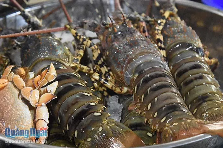 Sôi động chợ đêm hải sản ở đảo Lý Sơn - Ảnh 3. Sôi động chợ đêm hải sản ở đảo Lý Sơn - Ảnh 3.