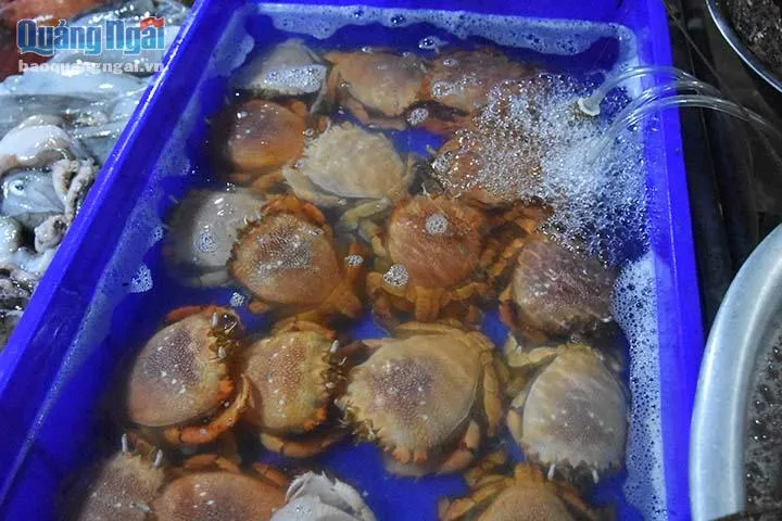Sôi động chợ đêm hải sản ở đảo Lý Sơn - Ảnh 4. Sôi động chợ đêm hải sản ở đảo Lý Sơn - Ảnh 4.