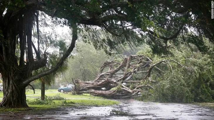 Siêu bão Irma đe dọa ngành du lịch của Florida - Ảnh 5. Siêu bão Irma đe dọa ngành du lịch của Florida - Ảnh 5.
