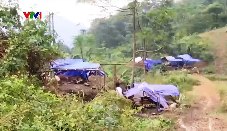 Lào Cai phòng chống rét cho người và vật nuôi - Ảnh 1. Lào Cai phòng chống rét cho người và vật nuôi - Ảnh 1.