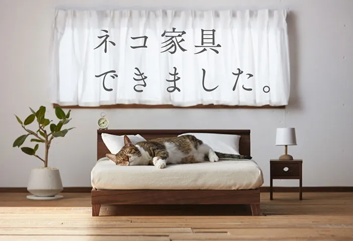 Thích thú với những món đồ nội thất bé xíu cho loài mèo - Ảnh 5. Thích thú với những món đồ nội thất bé xíu cho loài mèo - Ảnh 5.