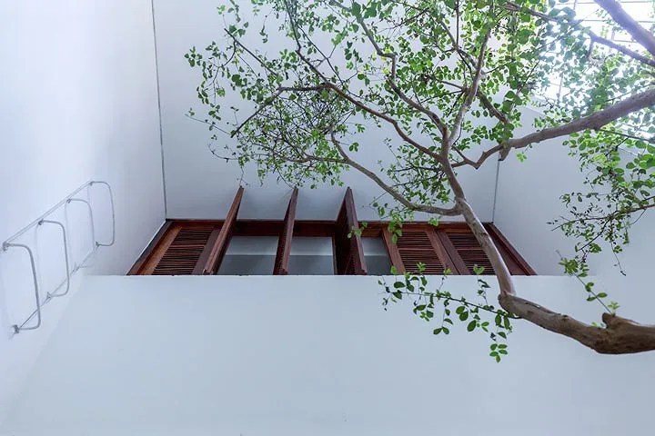 Nằm sâu trong ngõ nhỏ của Thủ đô, ngôi nhà ống vẫn ngập tràn ánh sáng - Ảnh 10. Nằm sâu trong ngõ nhỏ của Thủ đô, ngôi nhà ống vẫn ngập tràn ánh sáng - Ảnh 10.