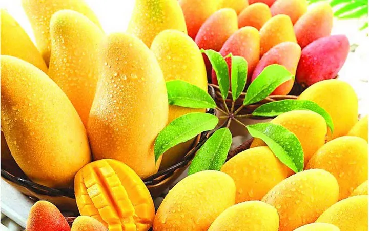 Những loại quả càng ăn càng nổi mụn - Ảnh 4. Những loại quả càng ăn càng nổi mụn - Ảnh 4.