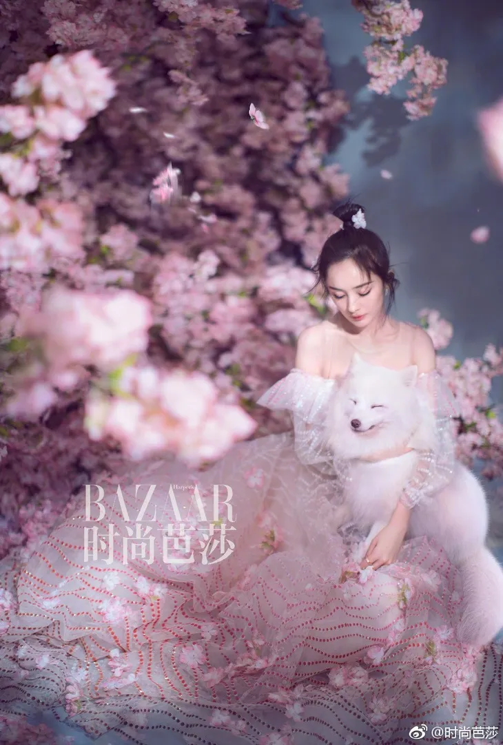 Dương Mịch đẹp nao lòng trong bộ ảnh mới - Ảnh 1. Dương Mịch đẹp nao lòng trong bộ ảnh mới - Ảnh 1.