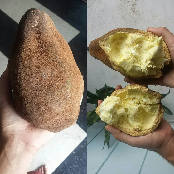 Những loại quả hiếm có trên thế giới rất ngon và lạ - Ảnh 8. Những loại quả hiếm có trên thế giới rất ngon và lạ - Ảnh 8.
