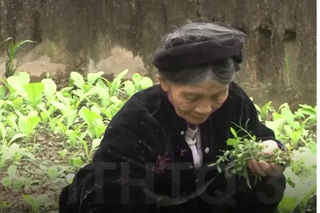 Đài PT-TH Quảng Trị: Cảm xúc vỡ òa khi lần đầu nhận giải Vàng thể loại Phim tài liệu tại LHTHTQ 37 - Ảnh 1. Đài PT-TH Quảng Trị: Cảm xúc vỡ òa khi lần đầu nhận giải Vàng thể loại Phim tài liệu tại LHTHTQ 37 - Ảnh 1.