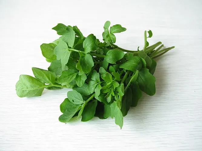 10 loại rau có ít calo nhưng giá trị dinh dưỡng rất cao - Ảnh 1. 10 loại rau có ít calo nhưng giá trị dinh dưỡng rất cao - Ảnh 1.