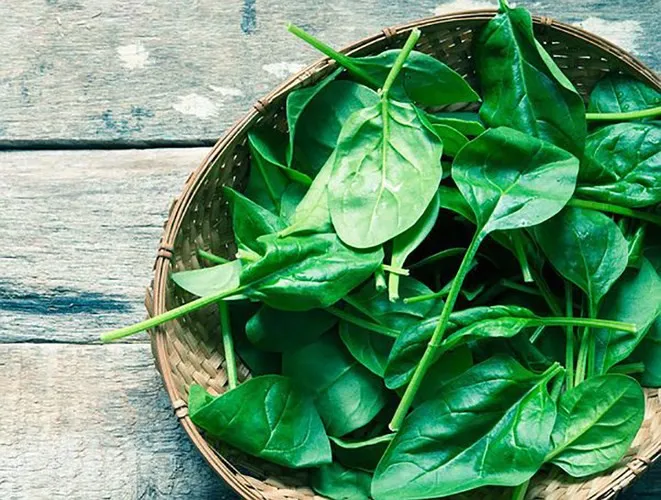 10 loại rau có ít calo nhưng giá trị dinh dưỡng rất cao - Ảnh 3. 10 loại rau có ít calo nhưng giá trị dinh dưỡng rất cao - Ảnh 3.