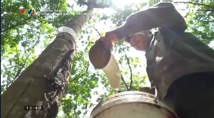 Doanh nhân và Hội nhập: Hiệu quả từ đầu tư nông nghiệp ở Lào - Ảnh 1. Doanh nhân và Hội nhập: Hiệu quả từ đầu tư nông nghiệp ở Lào - Ảnh 1.