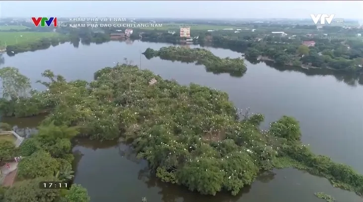 Khám phá Việt Nam: Thi vị vẻ đẹp Đảo Cò Chi Lăng Nam - Ảnh 1. Khám phá Việt Nam: Thi vị vẻ đẹp Đảo Cò Chi Lăng Nam - Ảnh 1.