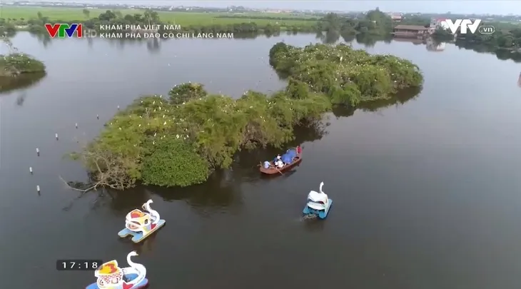 Khám phá Việt Nam: Thi vị vẻ đẹp Đảo Cò Chi Lăng Nam - Ảnh 5. Khám phá Việt Nam: Thi vị vẻ đẹp Đảo Cò Chi Lăng Nam - Ảnh 5.