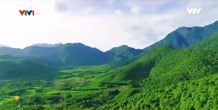 Khám phá Bạch Mã - Cung đường du lịch xanh - Ảnh 1. Khám phá Bạch Mã - Cung đường du lịch xanh - Ảnh 1.