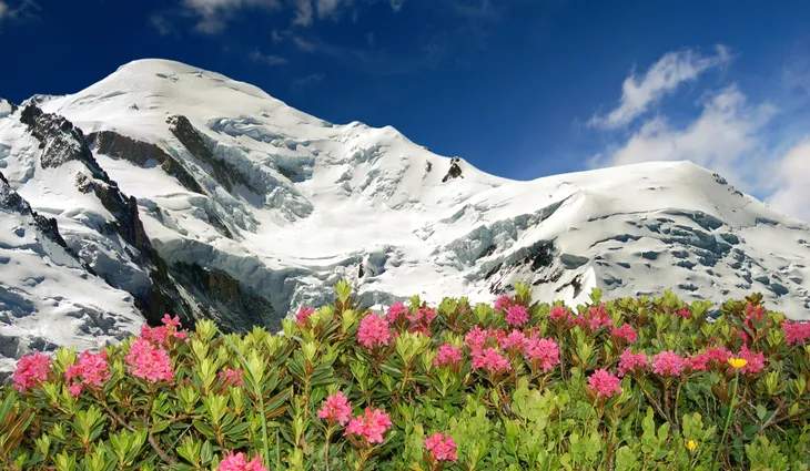 Mùa hè tuyệt đẹp trên dãy núi Alps - Ảnh 1. Mùa hè tuyệt đẹp trên dãy núi Alps - Ảnh 1.
