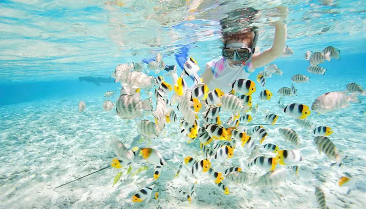 Đảo Tioman - Viên ngọc xanh biếc của Malaysia - Ảnh 7. Đảo Tioman - Viên ngọc xanh biếc của Malaysia - Ảnh 7.