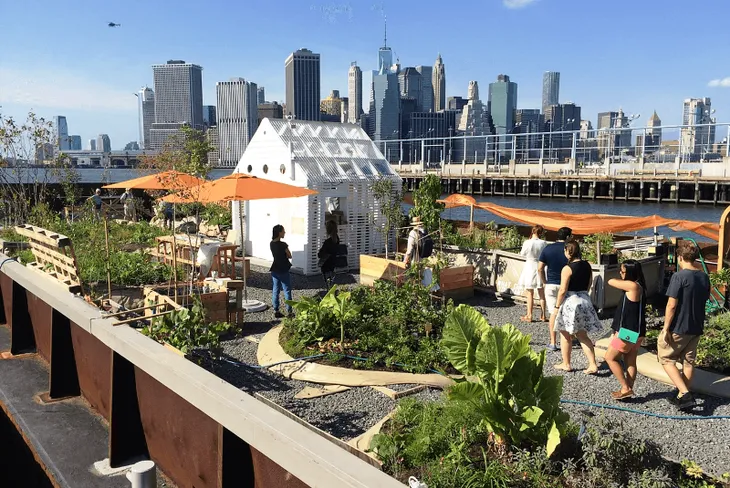 Độc đáo khu vườn nổi trên thuyền tại New York, Mỹ - Ảnh 2. Độc đáo khu vườn nổi trên thuyền tại New York, Mỹ - Ảnh 2.