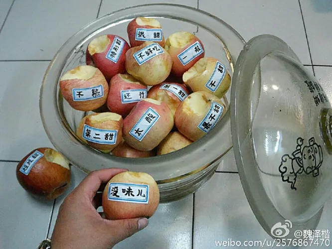 Cười té ghế với ý tưởng của những người siêu rảnh rỗi - Ảnh 7. Cười té ghế với ý tưởng của những người siêu rảnh rỗi - Ảnh 7.