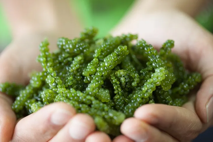 Những siêu thực phẩm nên được bổ sung trong sinh tố - Ảnh 6. Những siêu thực phẩm nên được bổ sung trong sinh tố - Ảnh 6.