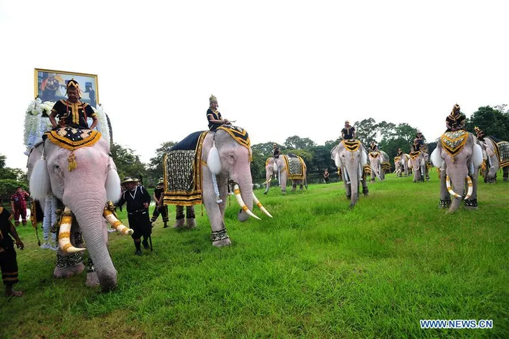 Thái Lan tưởng niệm 1 năm ngày vua Bhumibol Adulyadej băng hà - Ảnh 7. Thái Lan tưởng niệm 1 năm ngày vua Bhumibol Adulyadej băng hà - Ảnh 7.