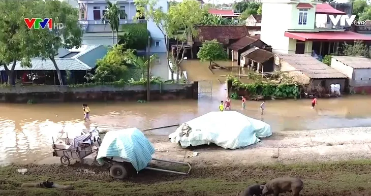 Nỗi lo bùng phát dịch bệnh sau lũ - Ảnh 1. Nỗi lo bùng phát dịch bệnh sau lũ - Ảnh 1.